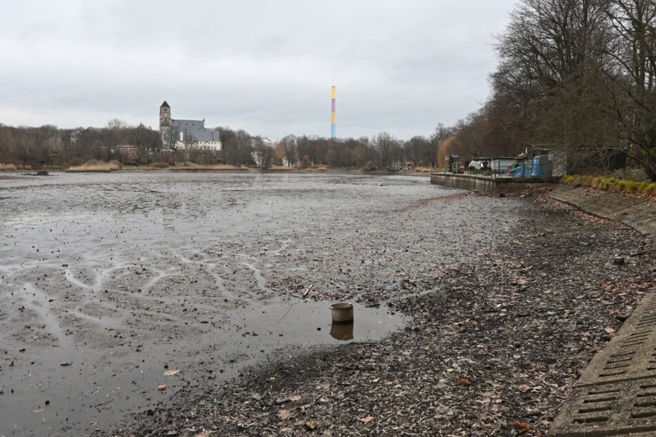 Auf dem Grund des Schlossteiches hat sich eine bis zu 70 Zentimeter dicke Schlammschicht abgelagert.