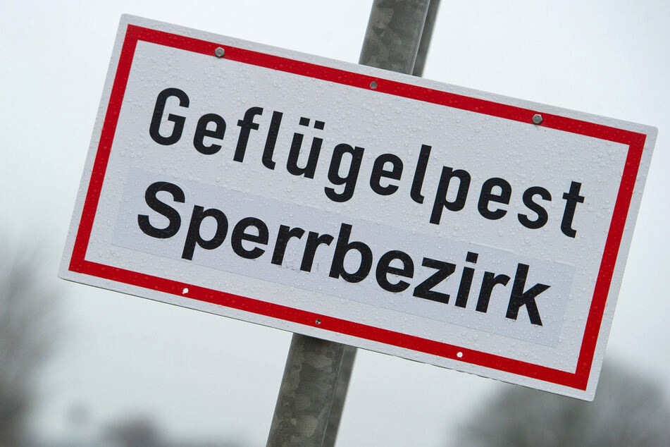 Vogelgrippe in den Landkreisen Starnberg und Deggendorf nachgewiesen