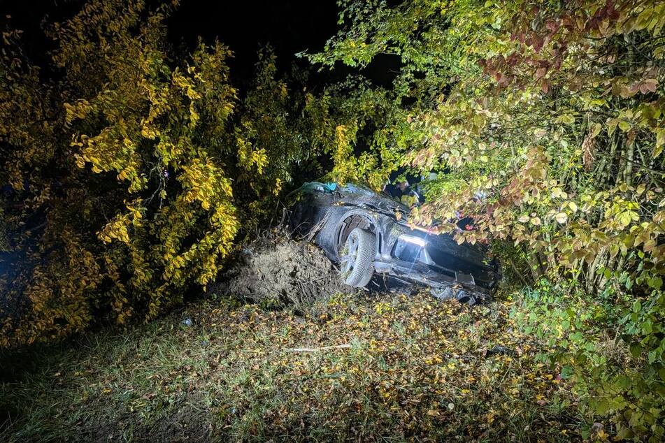 Der Ferrari landete im Gebüsch.