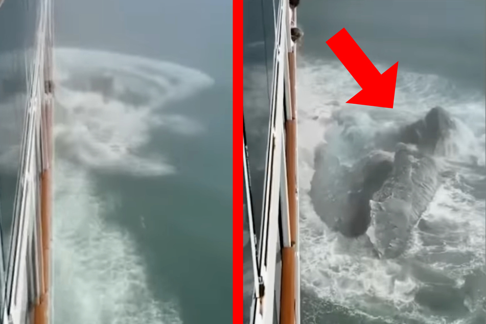 "Oh mein Gott": Kreuzfahrtschiff rammt merkwürdiges Ding im Meer