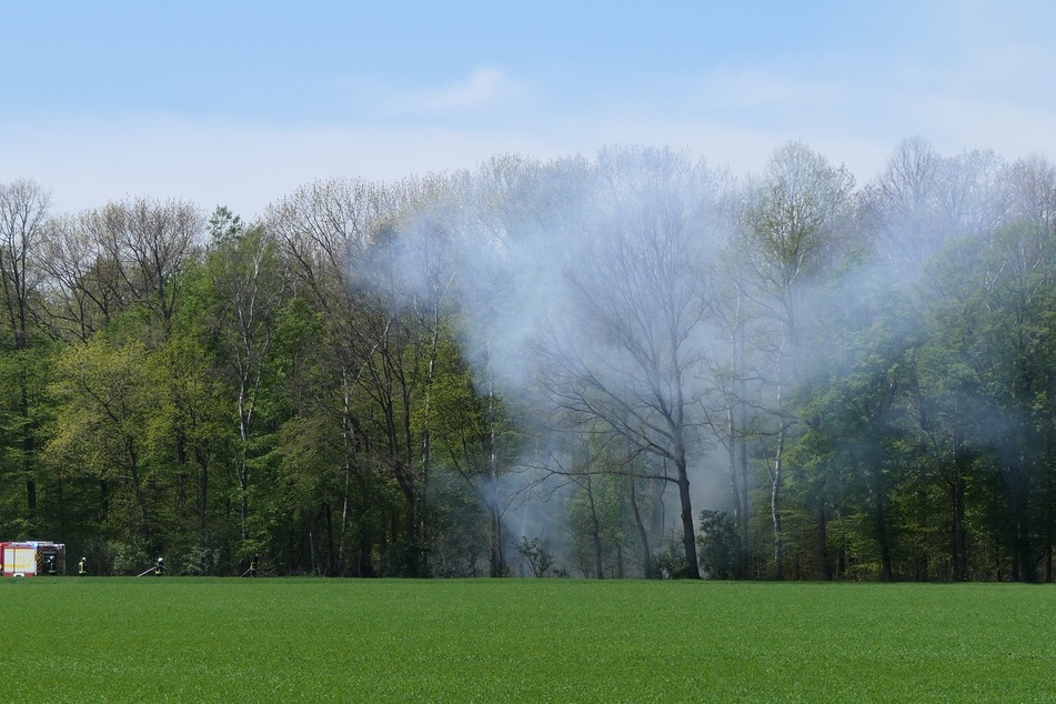 Eine Fläche von 100 Quadratmetern soll in Flammen gestanden haben.