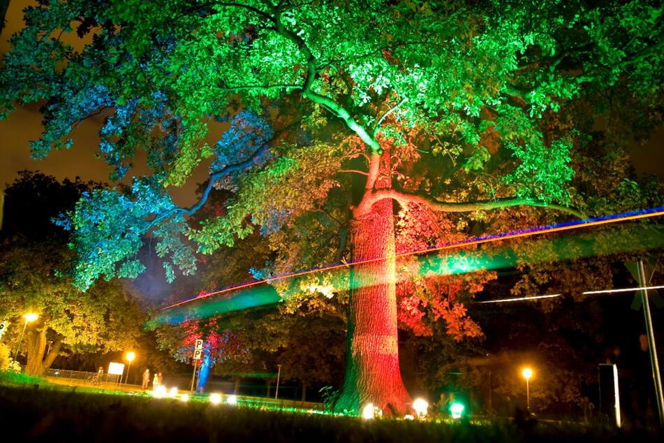 Mit der Parkeisenbahn geht's am Samstagabend durch einen zauberhaft beleuchteten Großen Garten. (Archivbild)