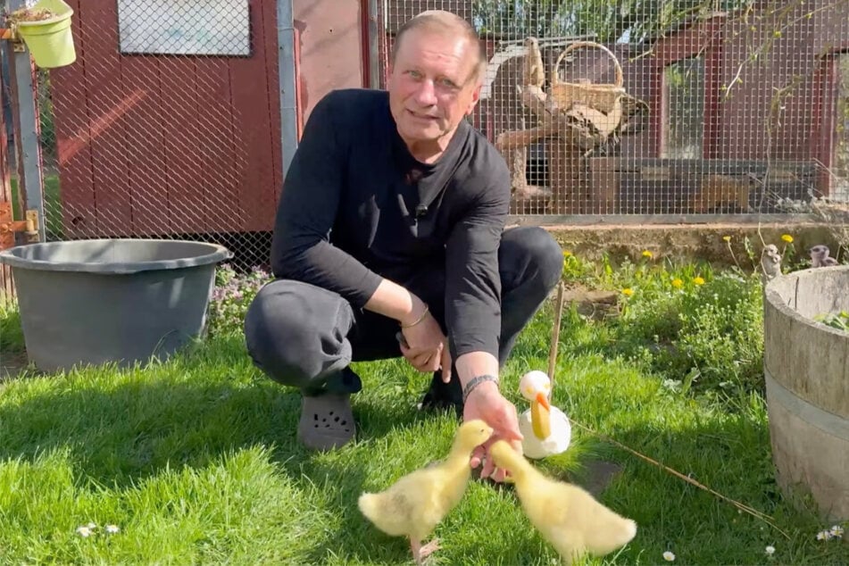In seinem neuesten Video zeigte Jörg Gräser (57) zwei süße Gänse-Kinder.
