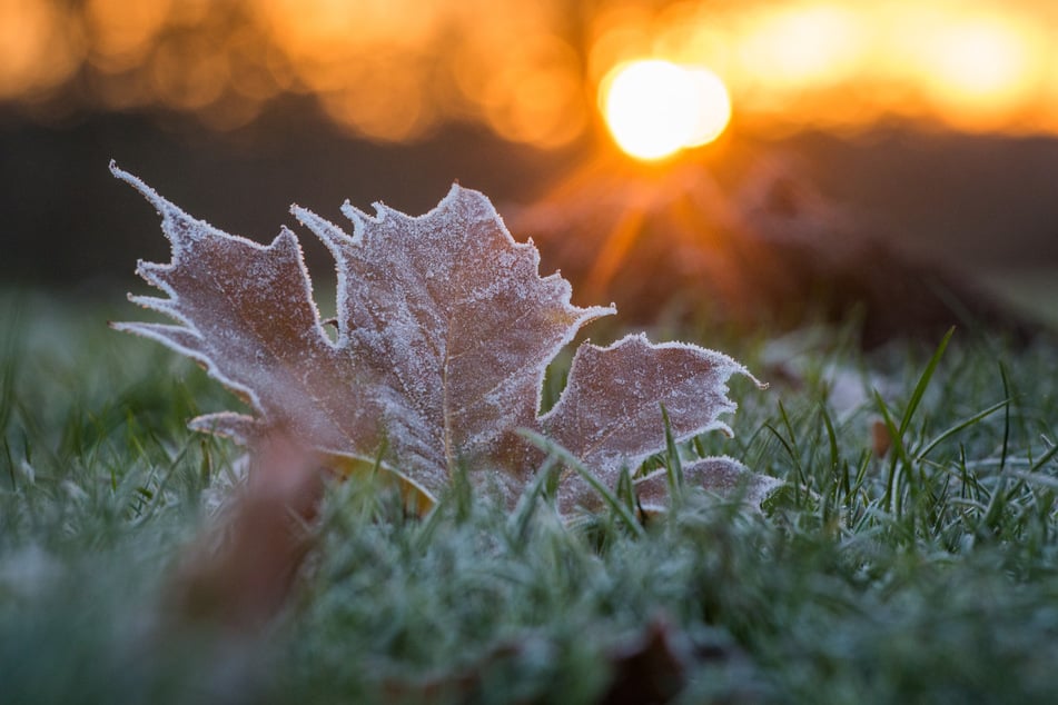 Erst trocken und mild, dann kalt: Bodenfrost in Thüringen angekündigt