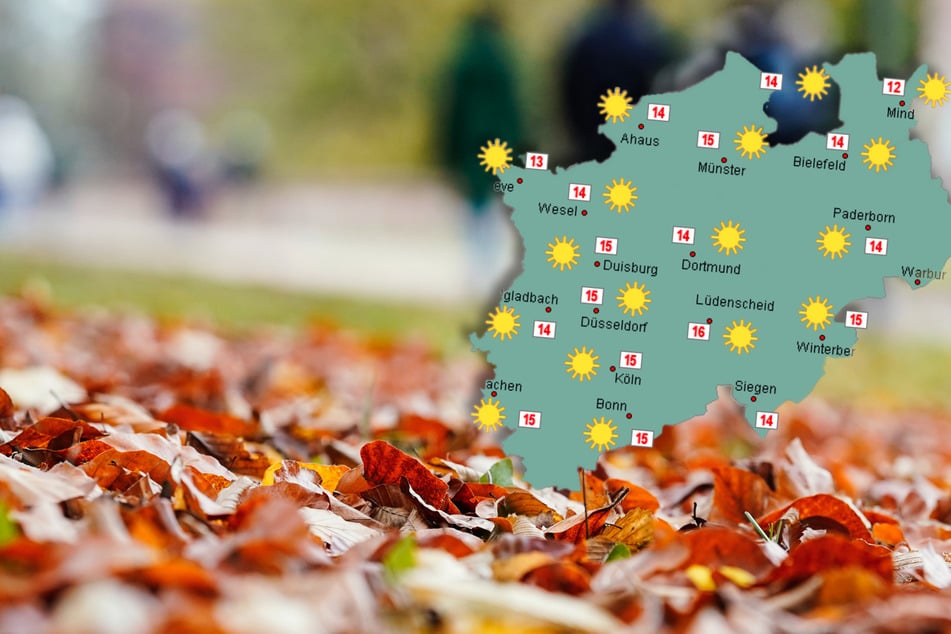 Sonne so weit das Auge reicht: Herbst verwöhnt NRW mit mildem Wetter