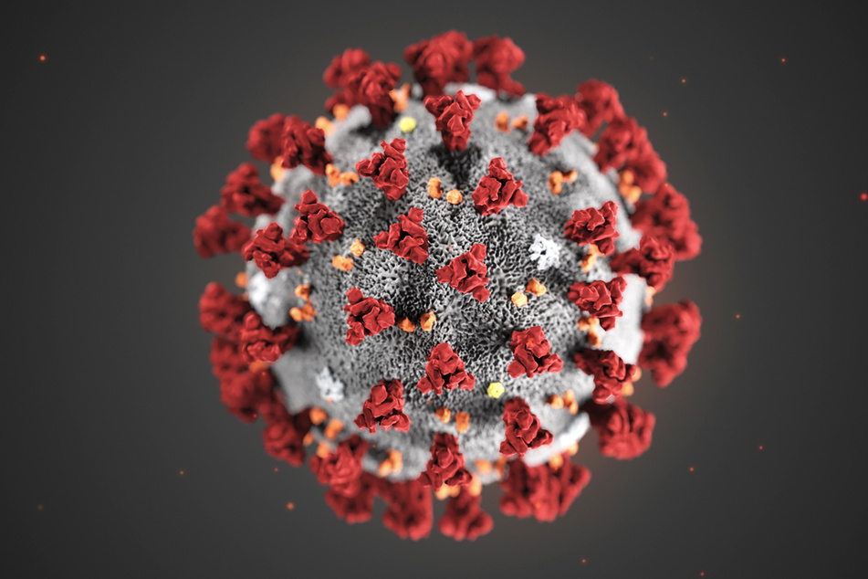 Eine Illustration des in diesem Fall tödlichen Coronavirus.