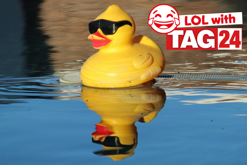 Joke of the Night for July 31, 2026: A duck chuckler