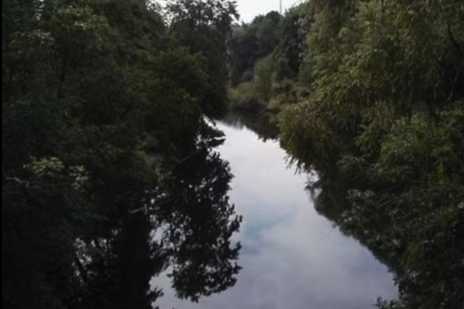 Der Fennsee, ein stehendes Gewässer in Charlottenburg-Wilmersdorf, fängt an, Faulgase zu bilden.