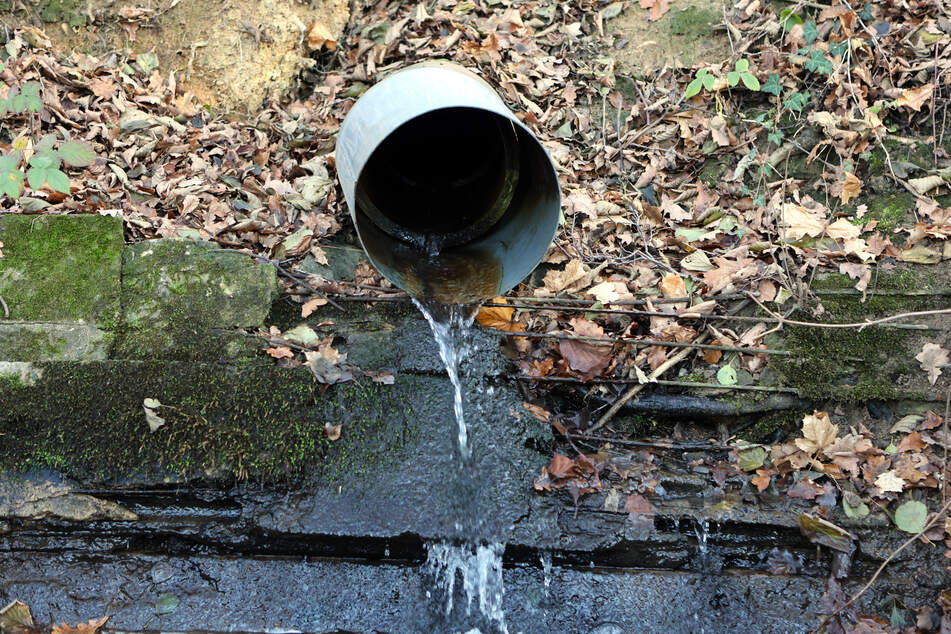 Der Zufluss in den Ziegeleiteich kommt aus der Richtung des Dresdner Flughafens.