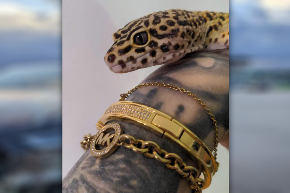 Als Haustiere hält die 32-Jährige fünf Leopardgeckos. "Die sehen aus wie kleine Dinos, das ist richtig süß", sagt sie.