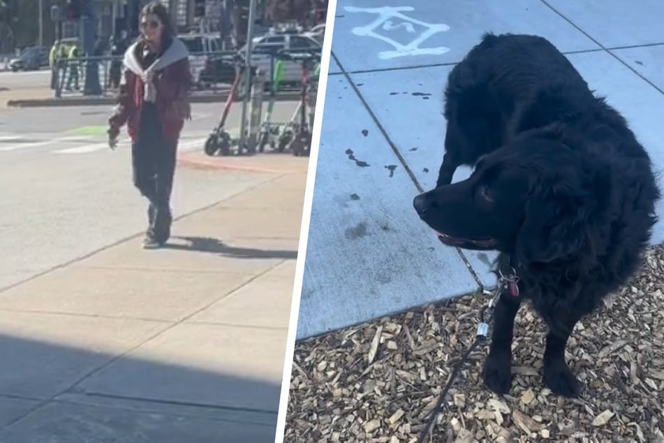Fate tragically separated Olive the dog from her bestie for more than a year. But will the pup recognize her long-lost human when they're reunited?