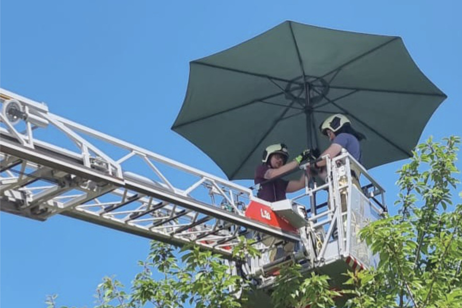 Dresden: Einsatz in luftiger Höhe: Sonnenschirm droht auf Straße zu stürzen