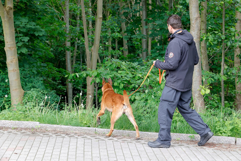 Mit einem Fährtenhund suchte die Polizei nach der Tatwaffe - dem Messer.