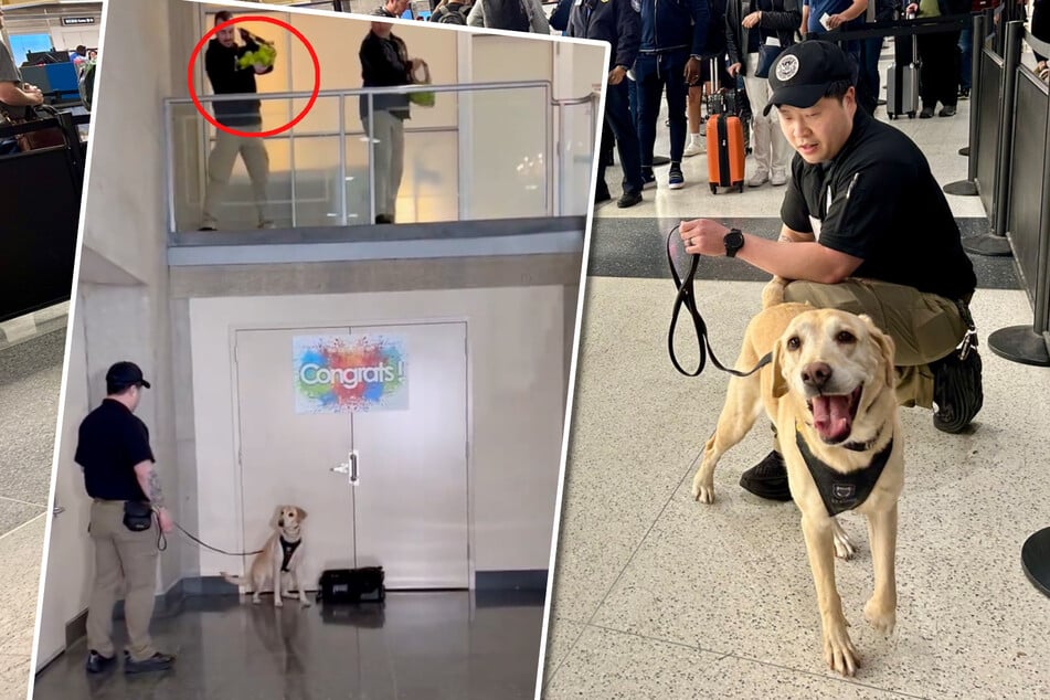 TSA dog treated to epic surprise retirement party!
