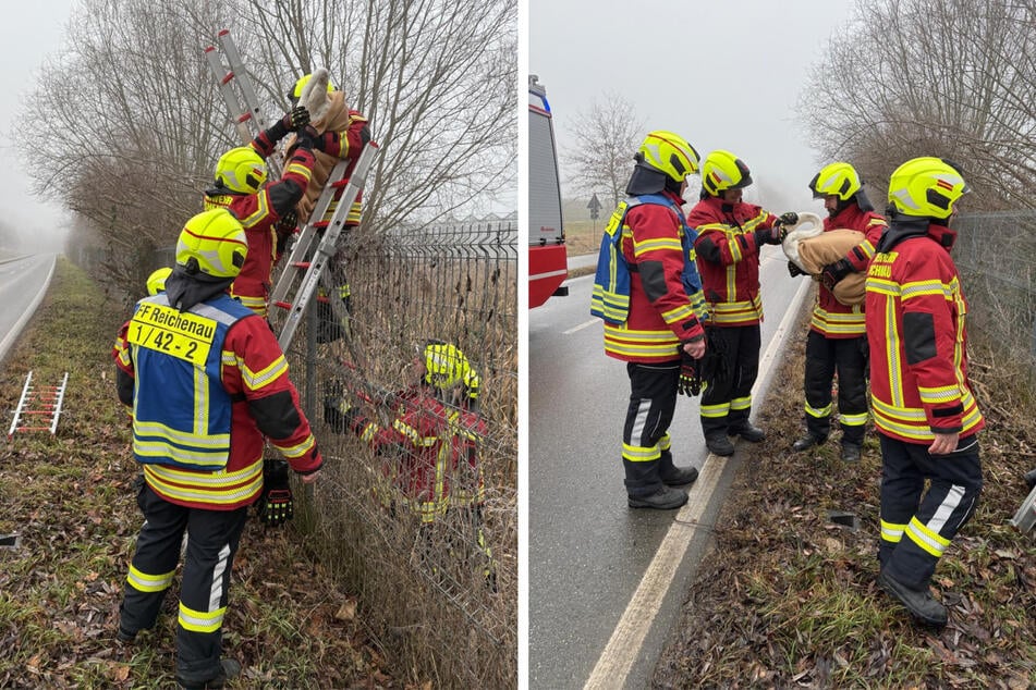 Die Feuerwehr leitete sofort eine Rettungsaktion ein.