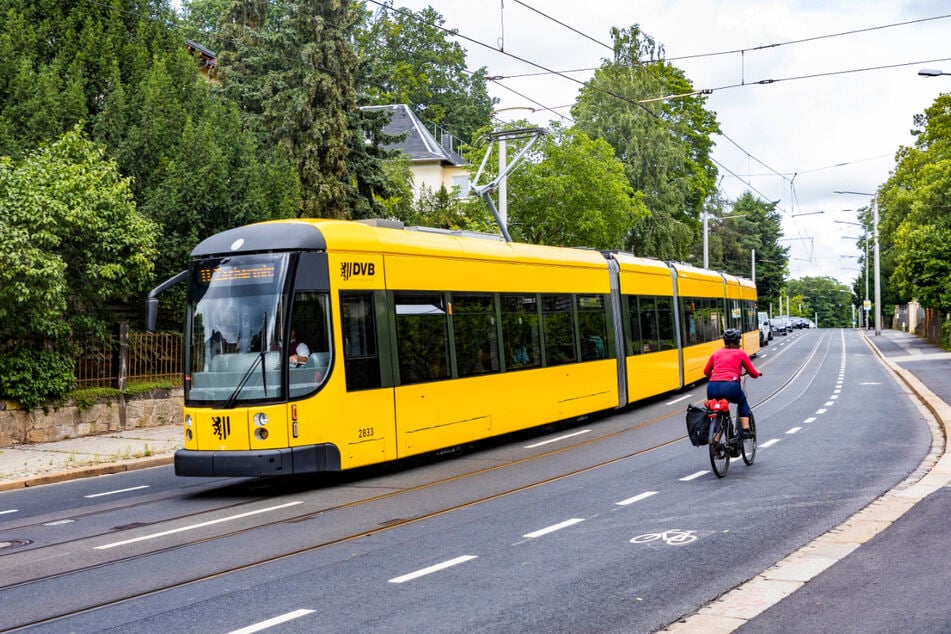 Auf der Bautzner Landstraße wurden erst vergangenes Jahr neue Radstreifen angebracht.