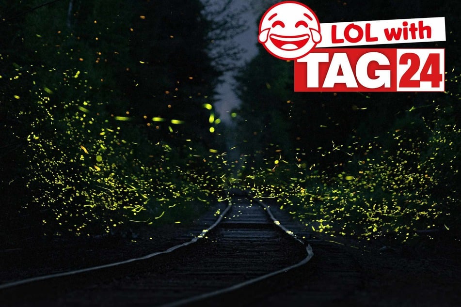 Joke of the Day for February 6, 2026: A fiery Friday funny.