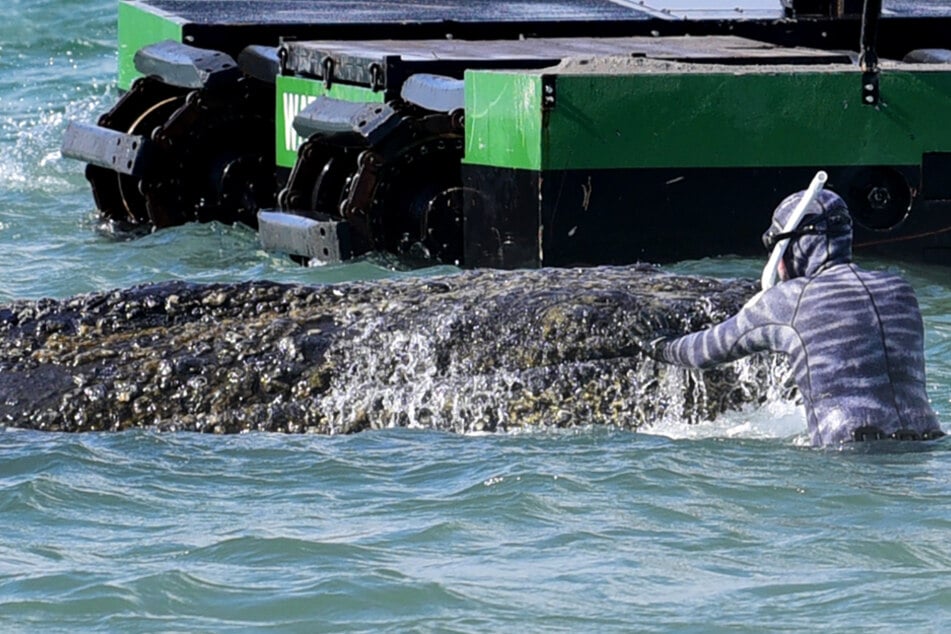 Der YouTuber ging mit dem Ozeanreisen auf Tuchfühlung - und fordert jetzt, dass sich dessen Schicksal niemals wiederholen darf.