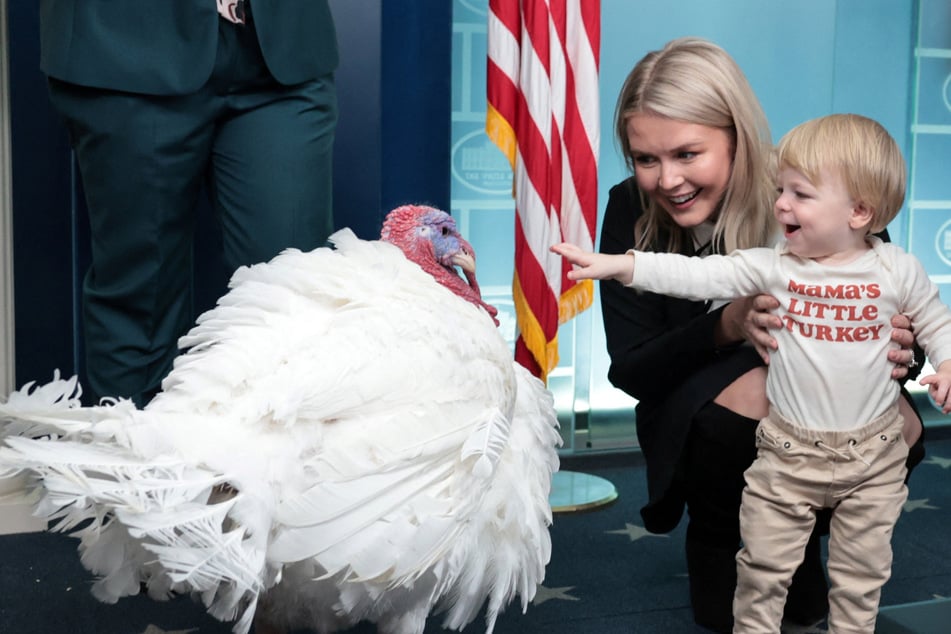 Waddle the turkey even paid a visit to the White House pressing room ahead of his pardoning.