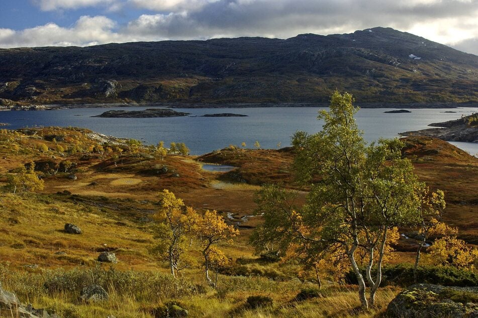 1992 wurde im malerischen Hardangervidda-Nationalpark eine männliche Leiche gefunden.