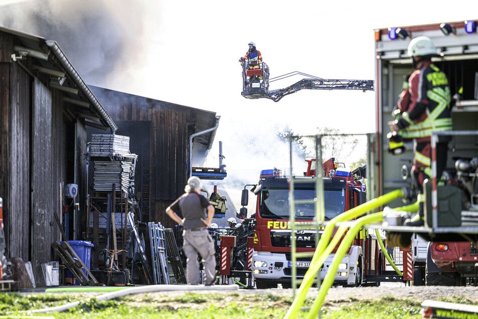 Feuer auf Geflügelhof: Hunderte Tiere verendet, zwei Menschen verletzt