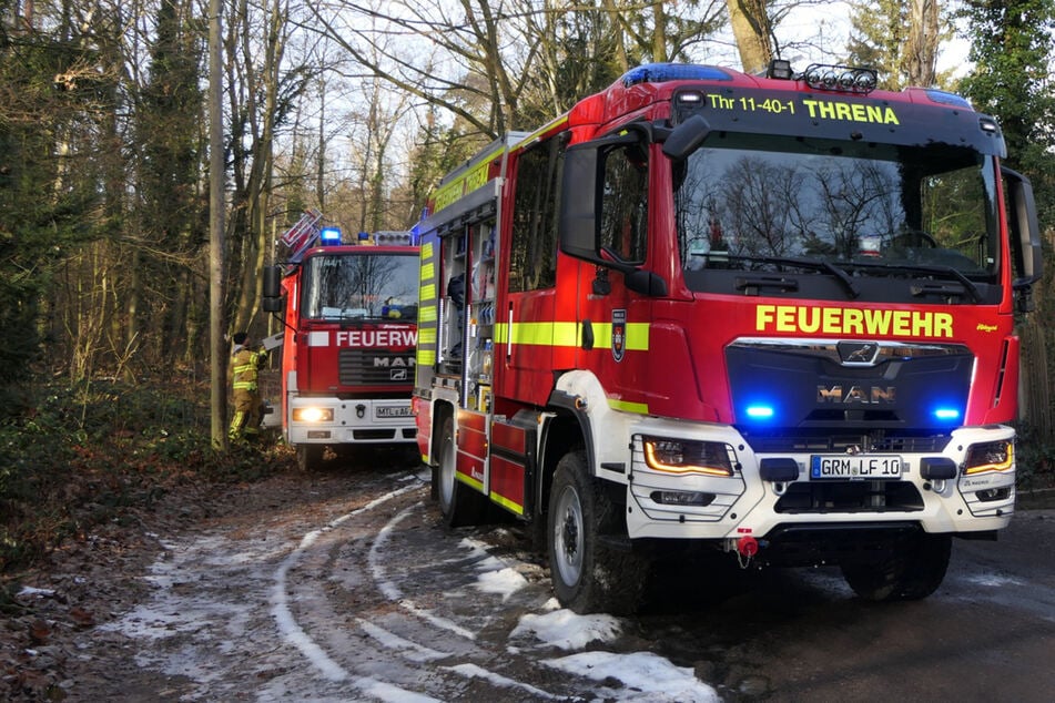 Schwerer Unfall im Landkreis Leipzig: Baum stürzt auf Frau