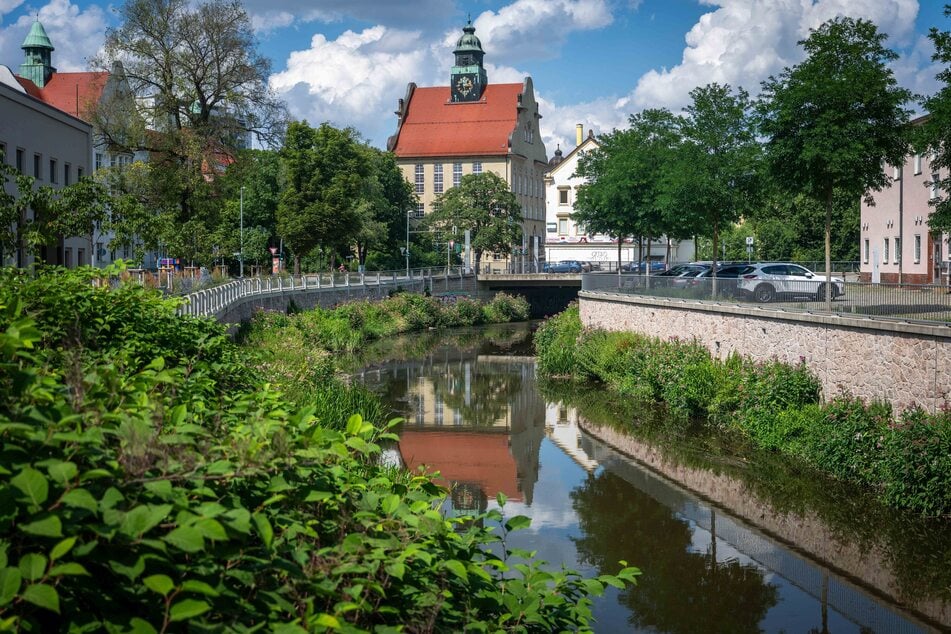 Die Chemnitz entlang der Fabrikstraße. Der Fluss hat einen niedrigen Pegelstand.