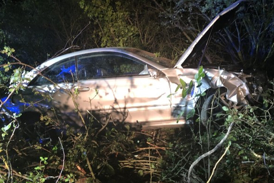 Wegen reflektierender Augen: Junger Autofahrer verreißt Lenkrad vor Schreck