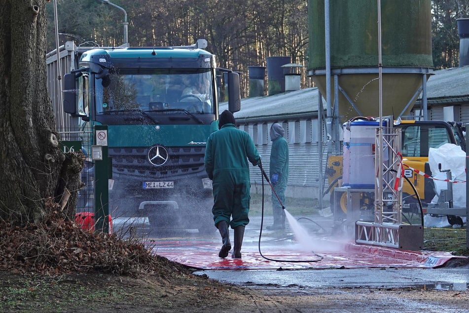 Der Landkreis Meißen hat die Sperr- und Überwachungszonen erweitert. Es gelten strenge Hygienevorschriften.