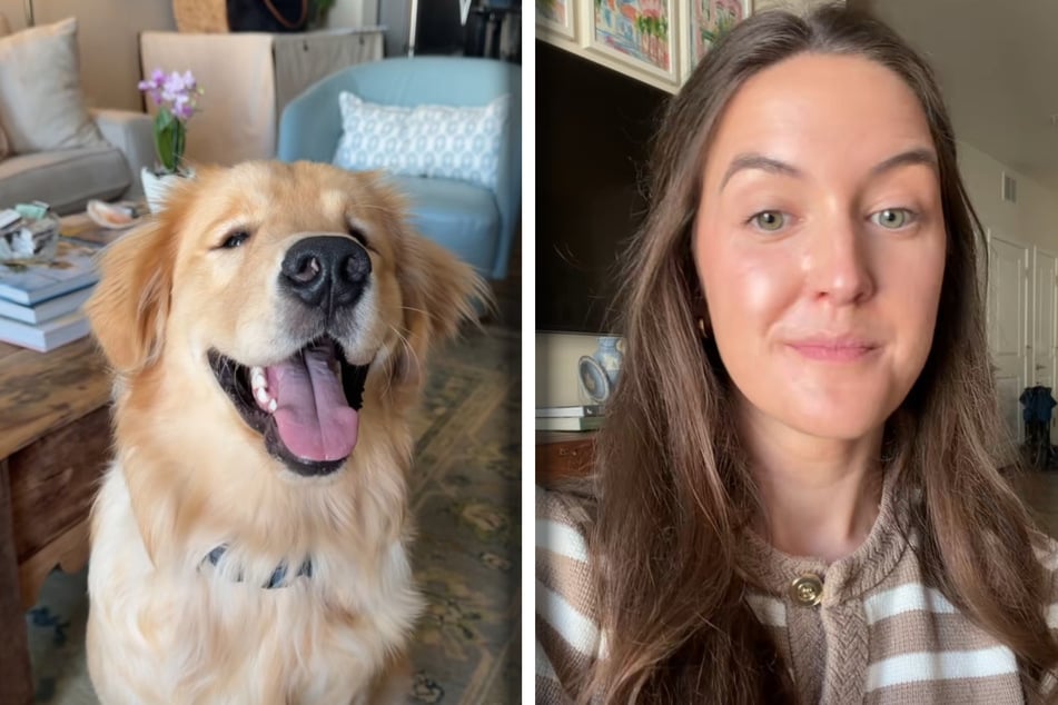 Mac und Frauchen Madelyn Wiggins (25) sind ein eingespieltes Team.