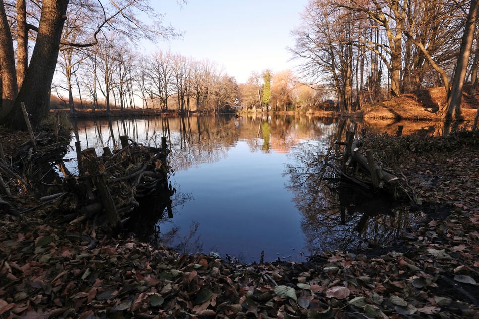 Der Ziegeleichteich zwischen Autobahn und Airport ist besonders von der PFAS-Belastung betroffen.