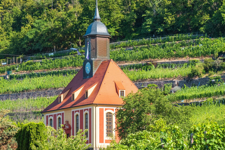 In der Weinbergkirche feiert Ihr diesen Sonntag neben dem Wein auch die Ernte!