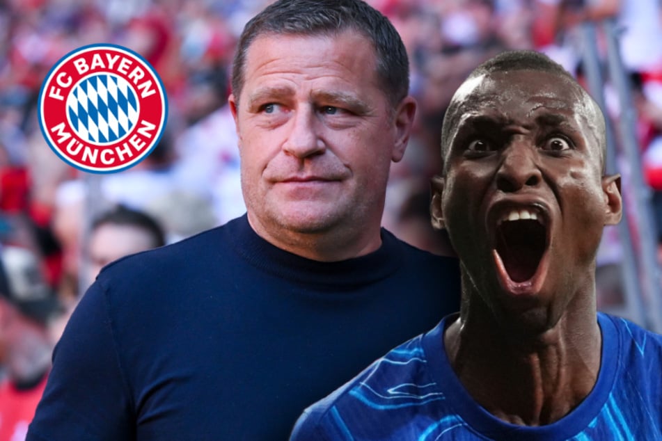 Neuer Stürmer beim FC Bayern? Leihe von Nicolas Jackson wohl fix