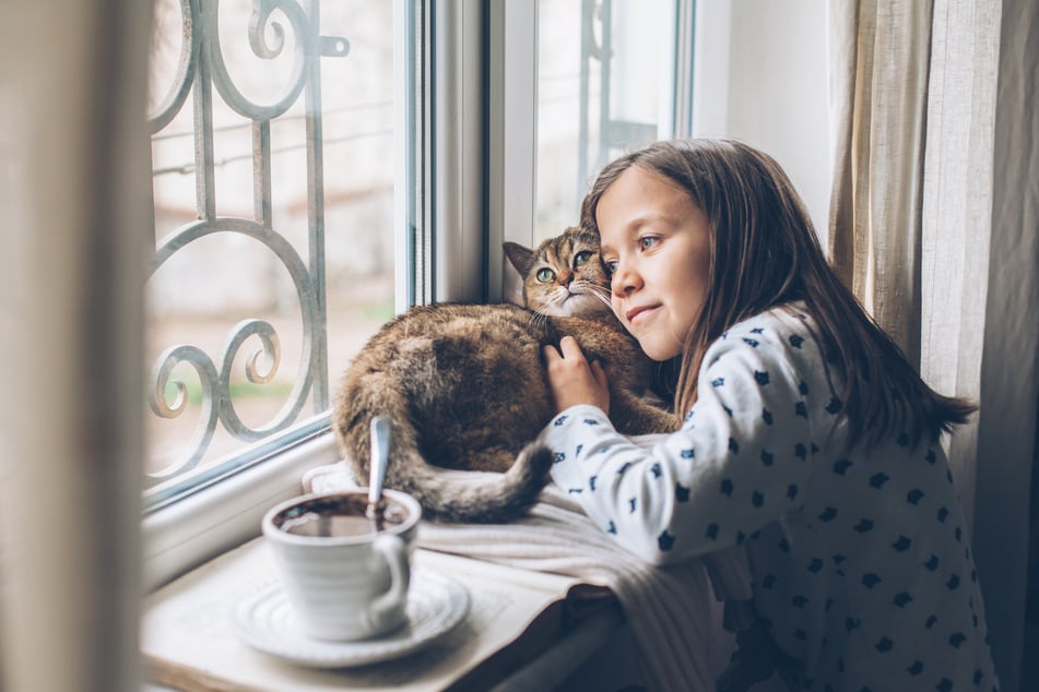 Katzen oder Hunde können mehr sein als nur ein Haustier, sie können zu einem Freund fürs Leben werden.