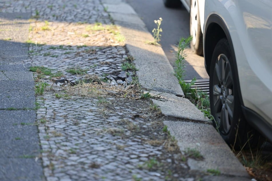 Die Gehwege der Georg-Schumann-Straße sind abgenutzt und voller Schlaglöcher.