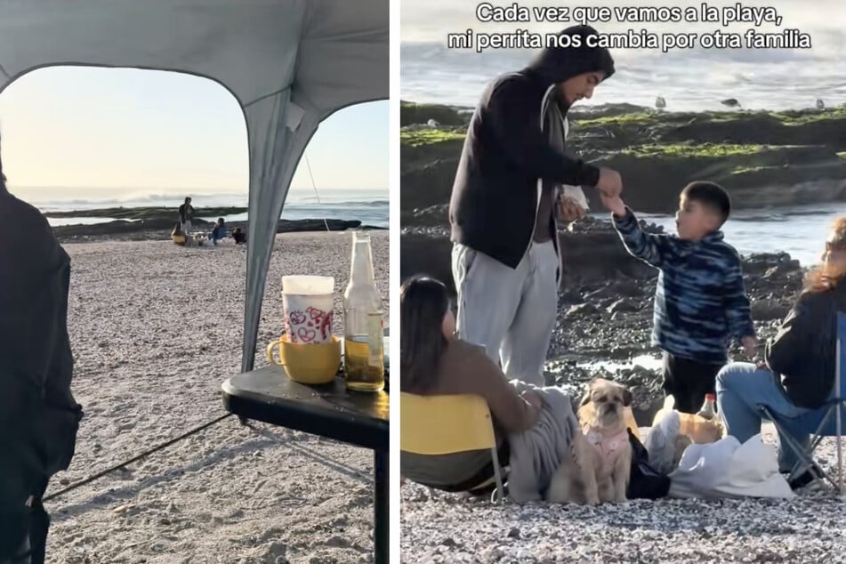 Frauchen Pía Letecasti hatte am Strand kurzzeitig ihre Hündin "Báltica" aus den Augen verloren. Schließlich fand sie den Vierbeiner wieder - bei einer anderen Familie!