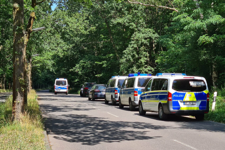 Polizeiautos stehen in einem Waldstück zwischen Babelsberg und Dreilinden.
