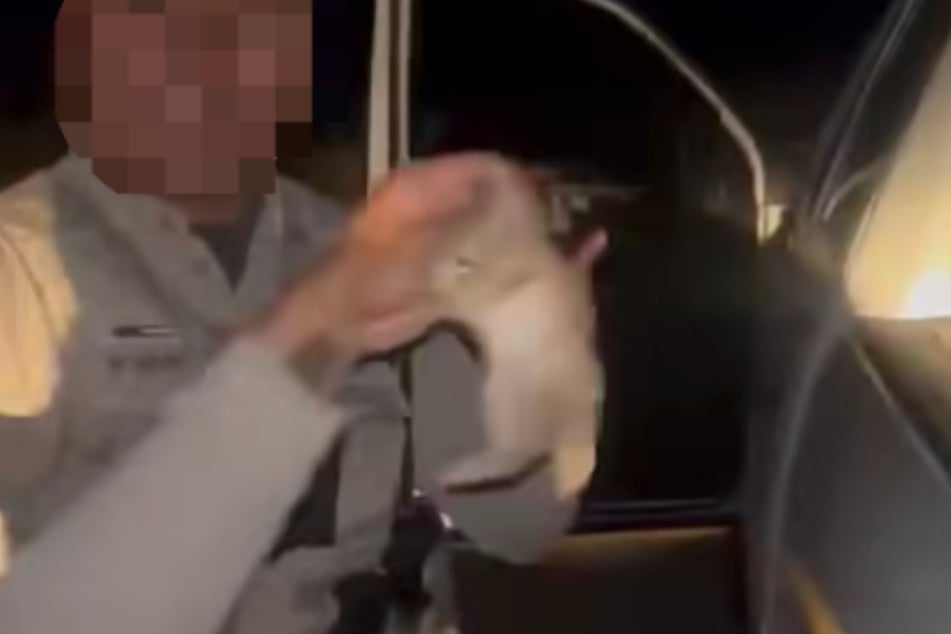 Der Clip zeigt, wie ein gefundenes Hasenbaby von US-Polizisten gequält wird.