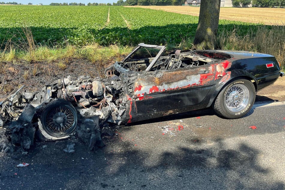Der historische Sportwagen brannte auf der Landstraße komplett aus.