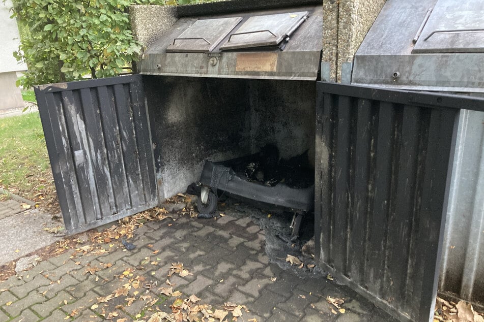 Die Tonnen in der Dr.-Salvador-Allende-Straße wurden durch das Feuer zerstört.