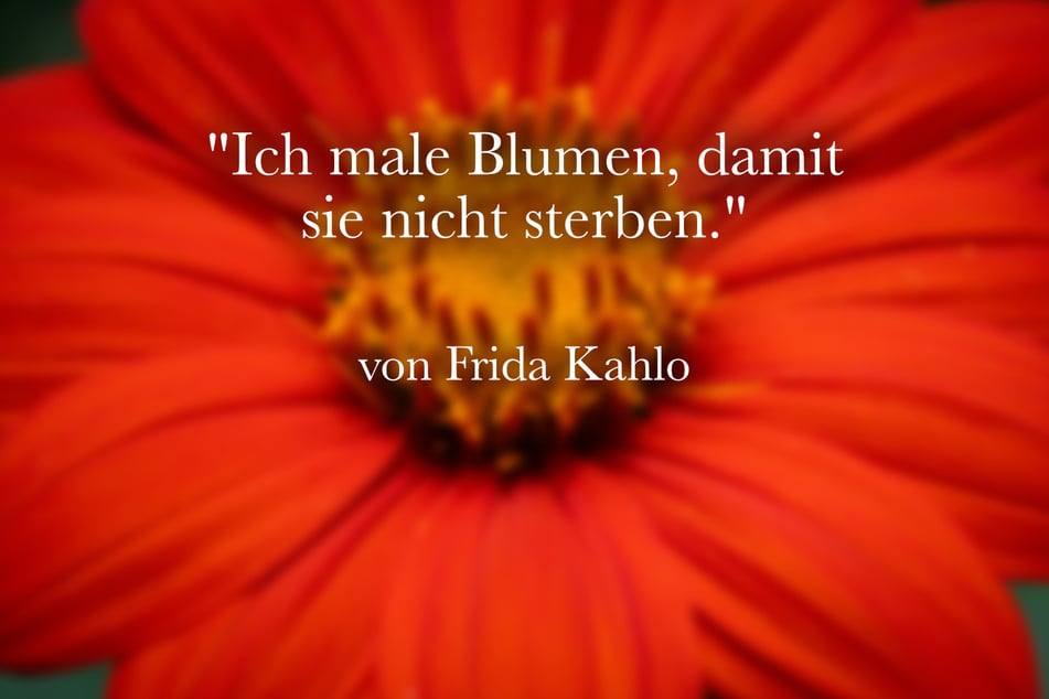 Frida Kahlo meinte: "Ich male Blumen, damit sie nicht sterben."