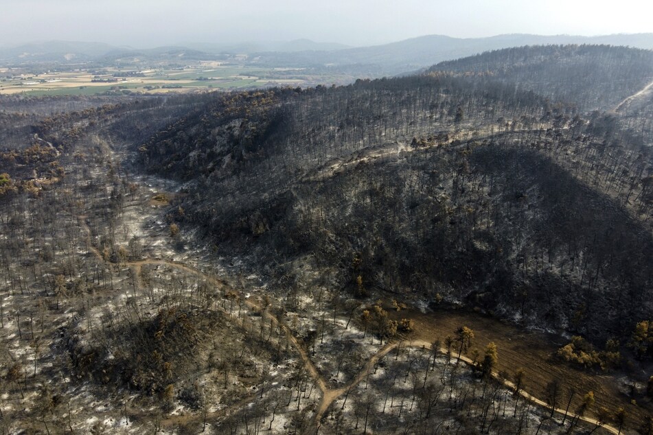 Die Luftaufnahme eines niedergebrannten Waldes im Dorf Agia Anna auf der Insel Euböa.