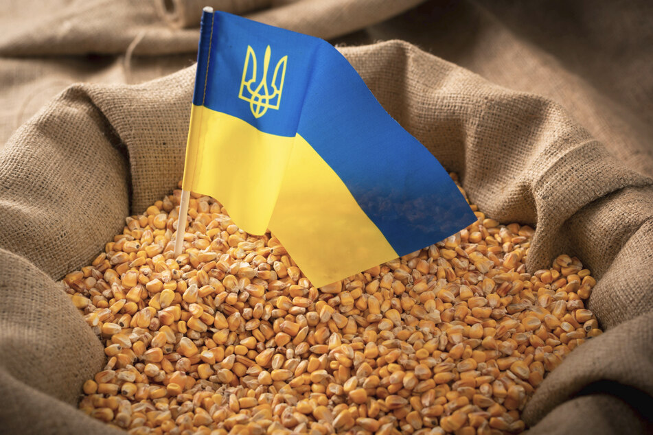 Getreide aus der Ukraine erhitzt gerade in Osteuropa die Gemüter.