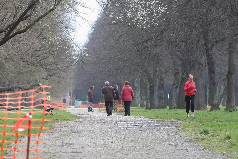 Auf der Herkulesallee im Großen Garten entblößte sich der Unbekannte. (Archivbild)