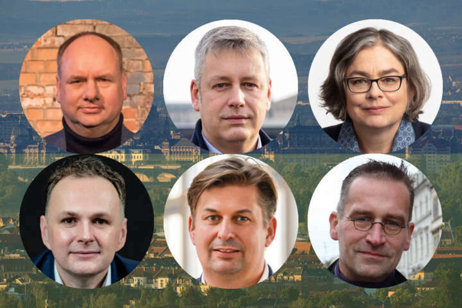 Die von uns befragten Kandidaten - Obere Reihe: Dirk Hilbert (50, l.), Albrecht Pallas (42, M.) und Eva Jähnigen (56). Untere Reihe: André Schollbach (43, l.), Maximilian Krah (45, M.) und Martin Schulte-Wissermann (51).