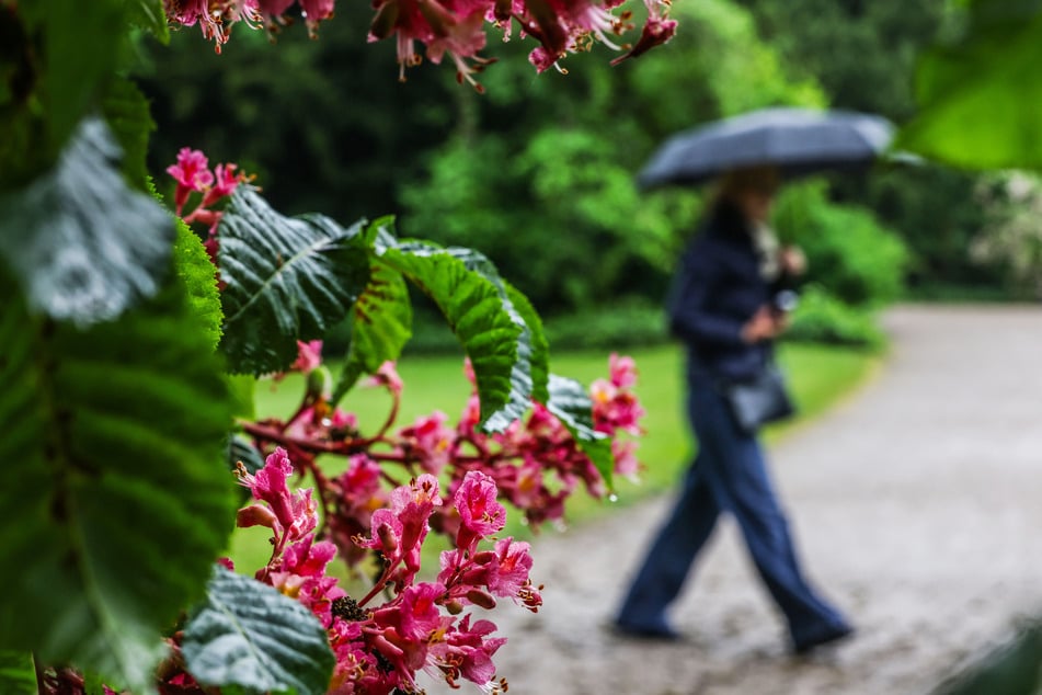 Wetter in Köln und NRW: Am Wochenende noch ungemütlich, dann wird's schön