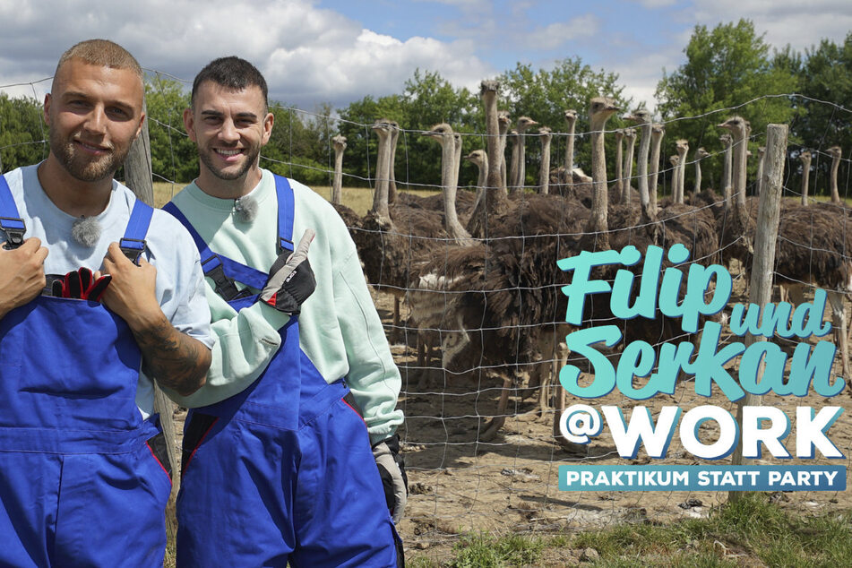 Filip Pavlovic (28) und Serkan Yavuz (29) starten bei "Filip und Serkan @work" im Blaumann durch.