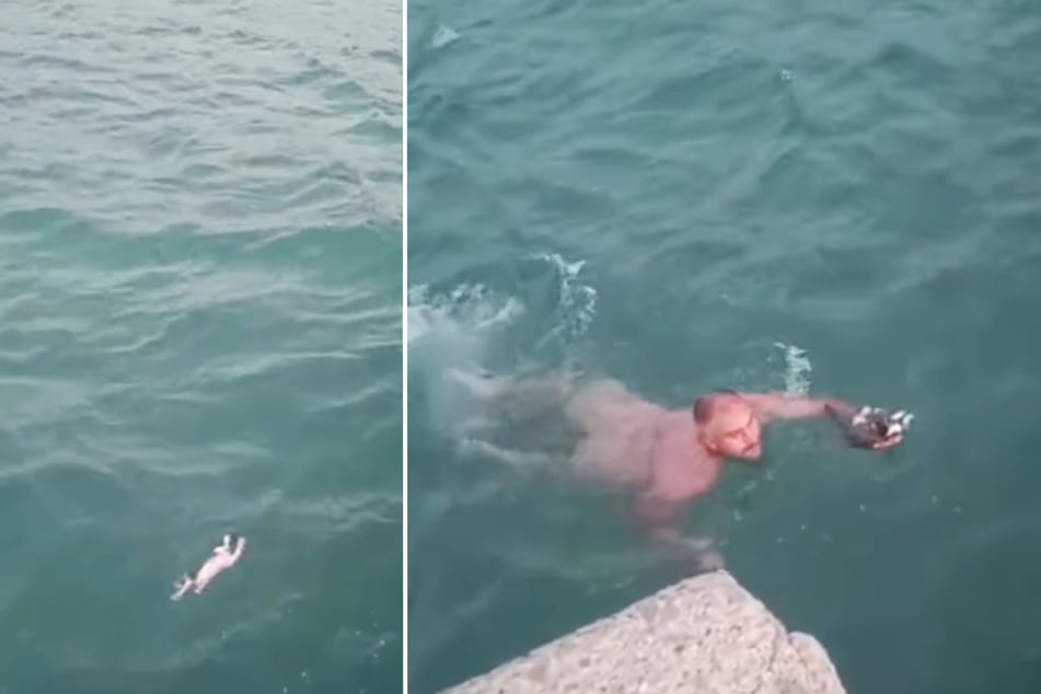 Aykut Balli rettete eine kleine Babykatze aus dem Meer, nachdem er und seine Frau das Tier während eines Spazierganges erspäht hatten.