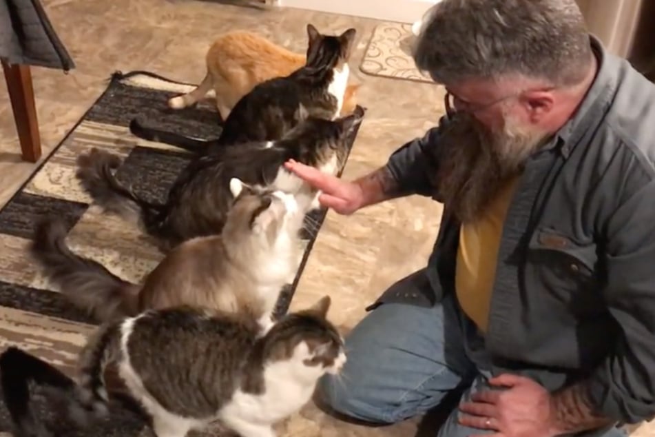 Each cat must perform a trick before receiving its meal. Some even give high fives!