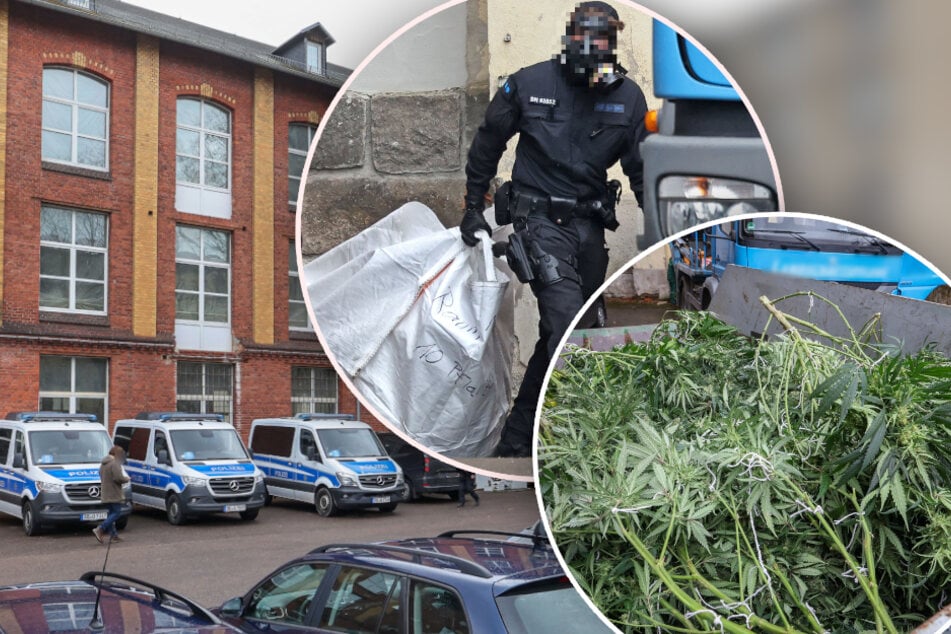 Großer Polizeieinsatz in Sachsen: XXL-Cannabis-Plantage ausgehoben